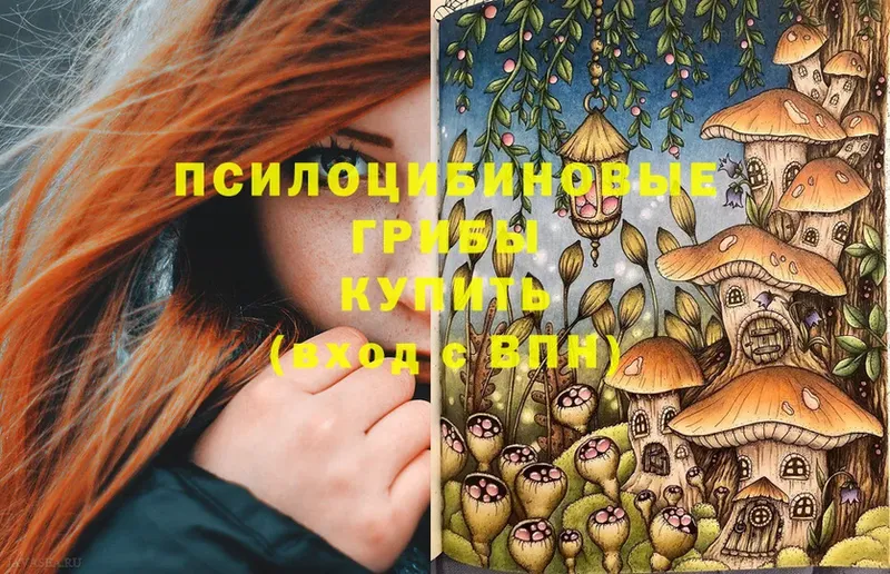 Псилоцибиновые грибы Cubensis  Билибино 